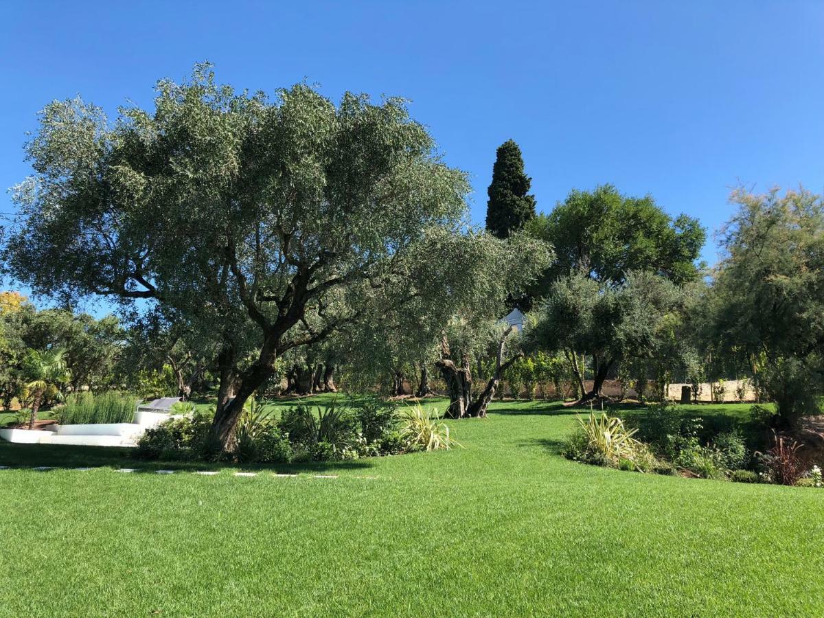 Villa Il Bacio del Sole Verona Esterno foto