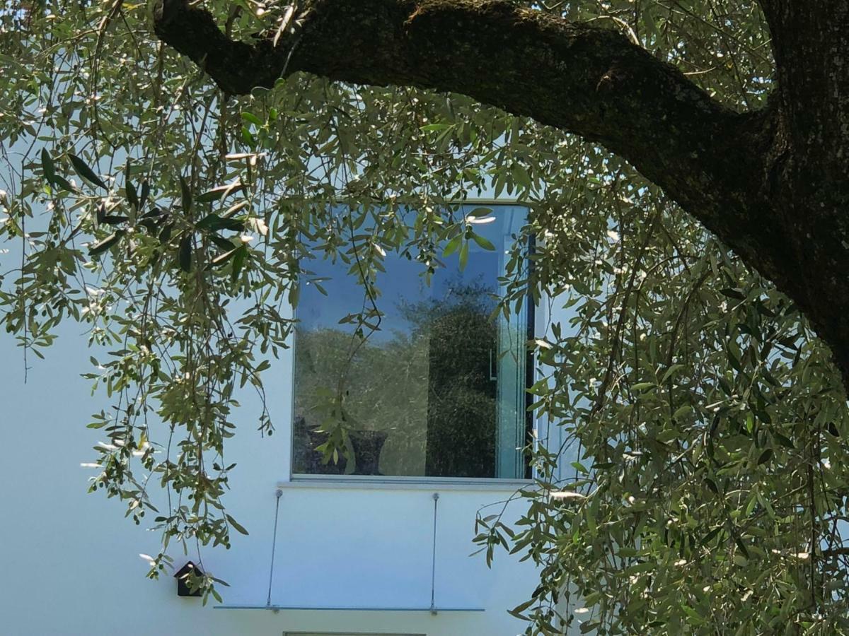 Villa Il Bacio del Sole Verona Esterno foto